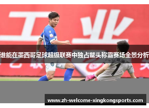 谁能在墨西哥足球超级联赛中独占鳌头称霸赛场全景分析